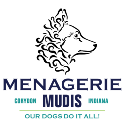 Menagerie Mudis & More